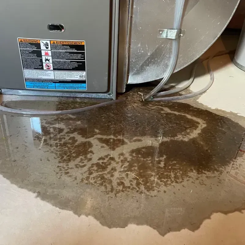 Appliance Leak Cleanup in Carson, ND